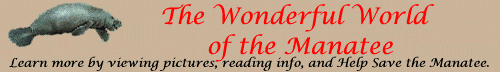 The Wonderful World of the Manatee Banner